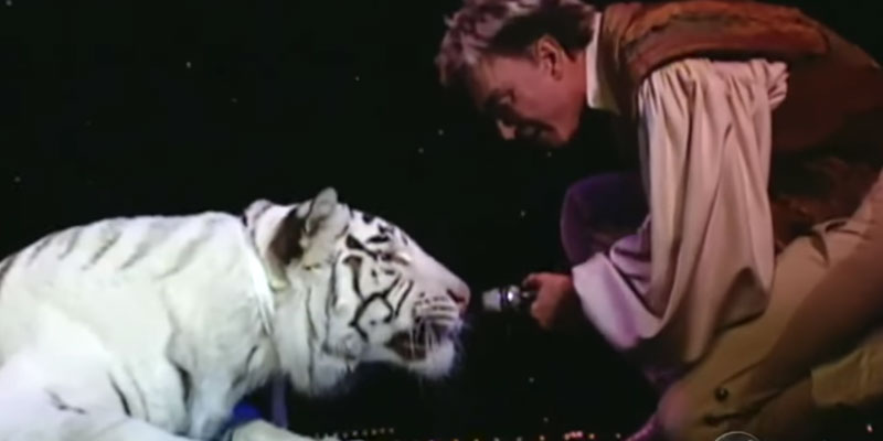 Resultado de imagen de Contacto accidental con animales salvajes