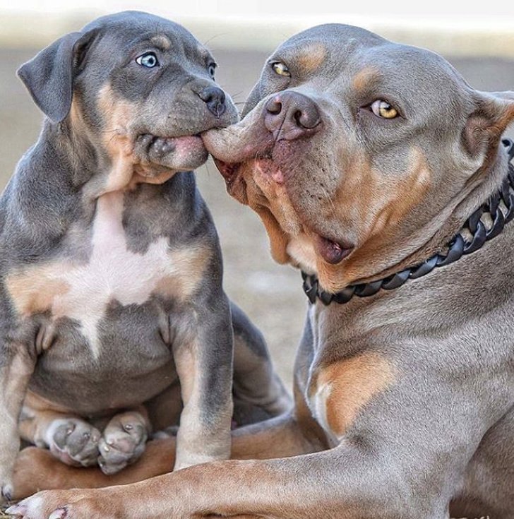 25 Fotos que mostram o que realmente é ser mãe