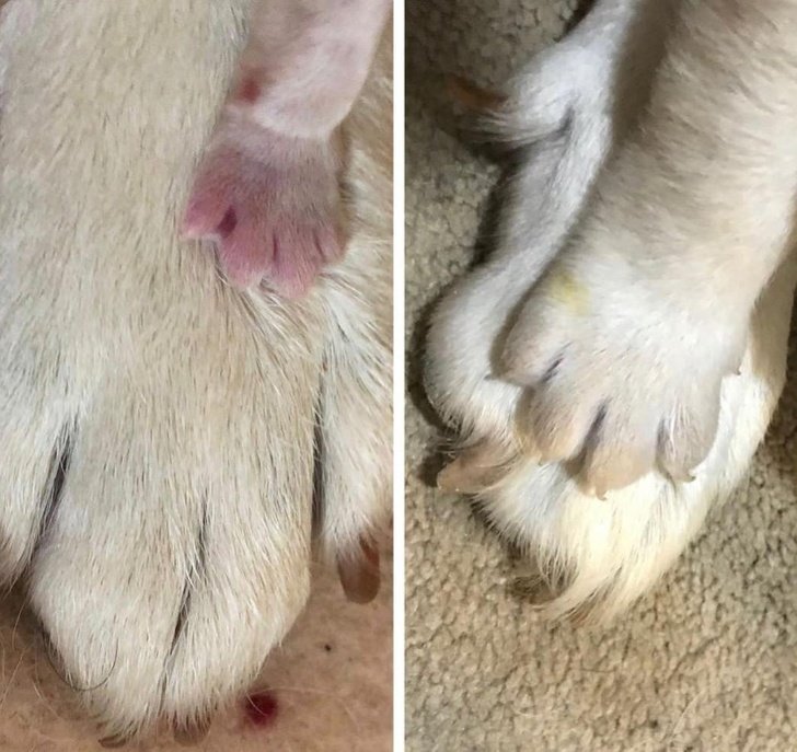 25 Fotos que mostram o que realmente é ser mãe