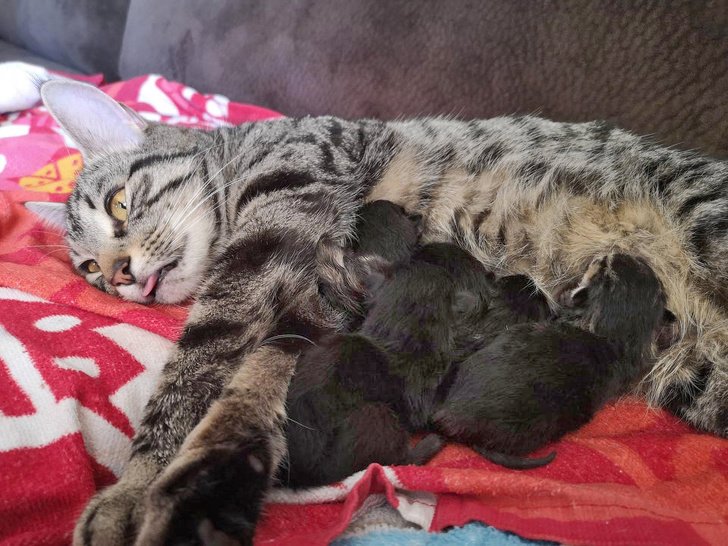 25 Fotos que mostram o que realmente é ser mãe