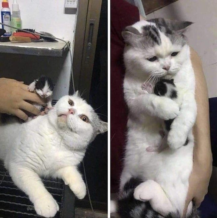 25 Fotos que mostram o que realmente é ser mãe