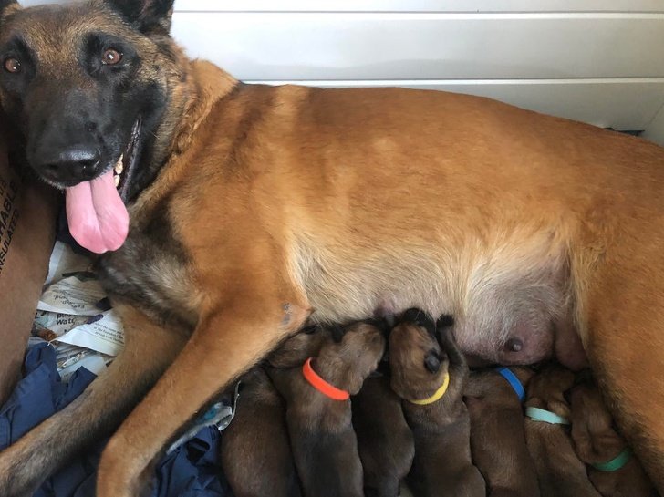 25 Fotos que mostram o que realmente é ser mãe