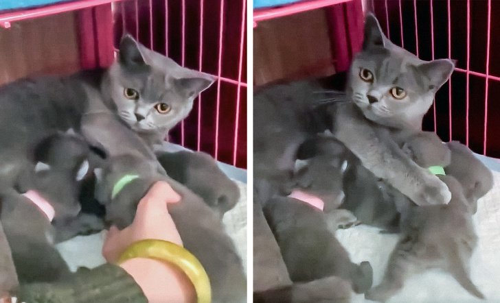 25 Fotos que mostram o que realmente é ser mãe