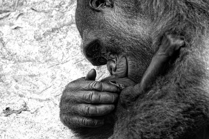 25 Fotos que mostram o que realmente é ser mãe