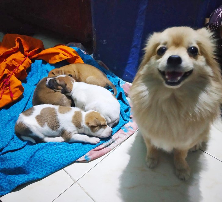 25 Fotos que mostram o que realmente é ser mãe