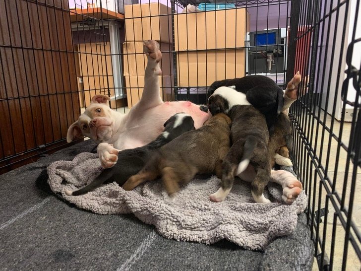 25 Fotos que mostram o que realmente é ser mãe