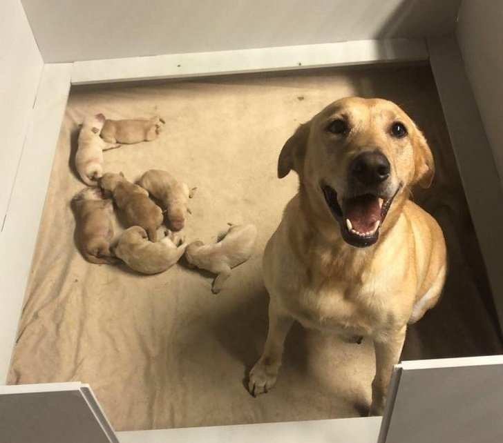 25 Fotos que mostram o que realmente é ser mãe