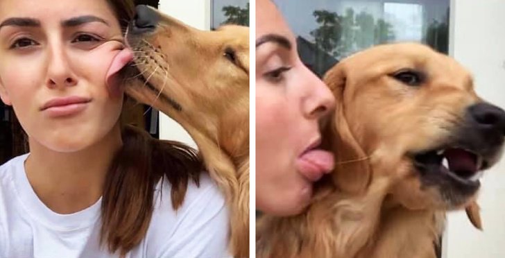 20+ Fotos que te provarão que é impossível imaginar a vida sem um bichinho de estimação