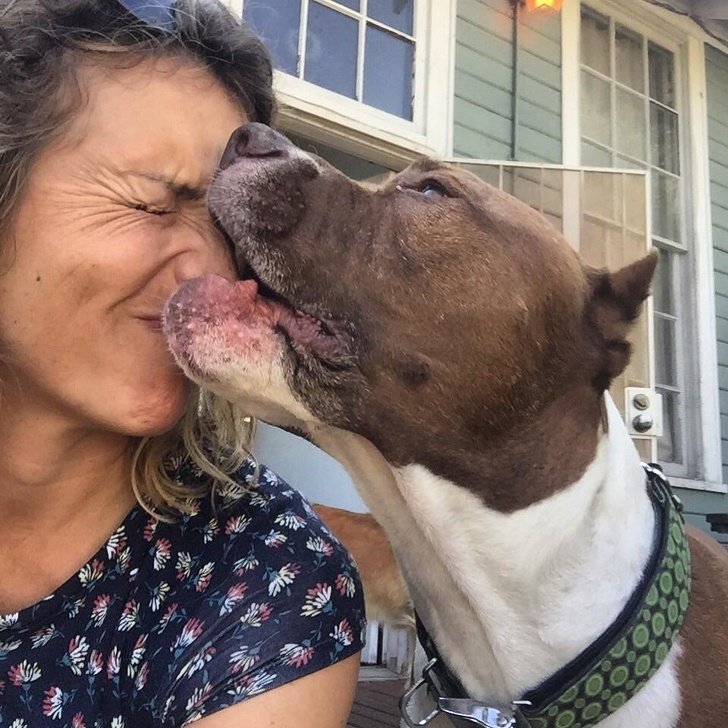 20+ Fotos que te provarão que é impossível imaginar a vida sem um bichinho de estimação