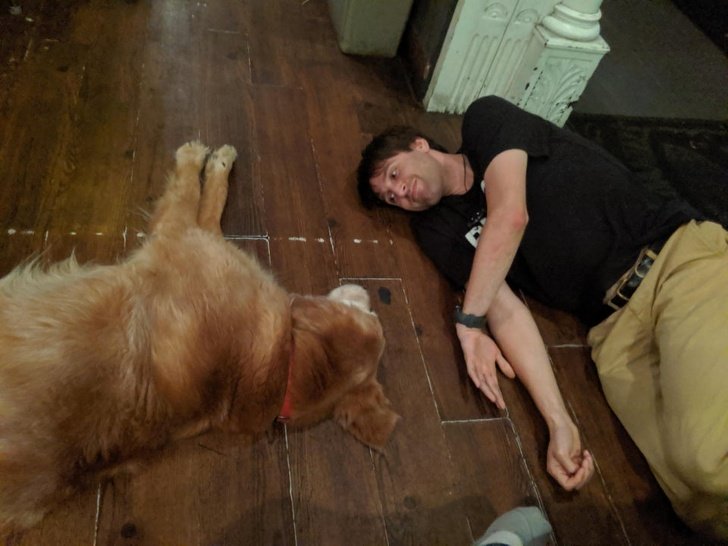 20+ Fotos que te provarão que é impossível imaginar a vida sem um bichinho de estimação