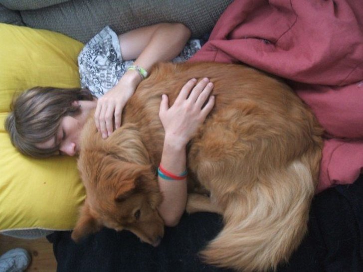 20+ Fotos que te provarão que é impossível imaginar a vida sem um bichinho de estimação