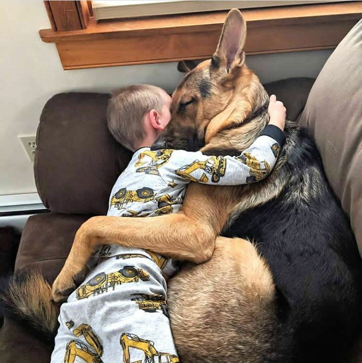 20+ Fotos que te provarão que é impossível imaginar a vida sem um bichinho de estimação