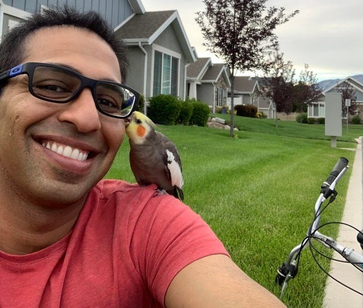 20+ Fotos que te provarão que é impossível imaginar a vida sem um bichinho de estimação