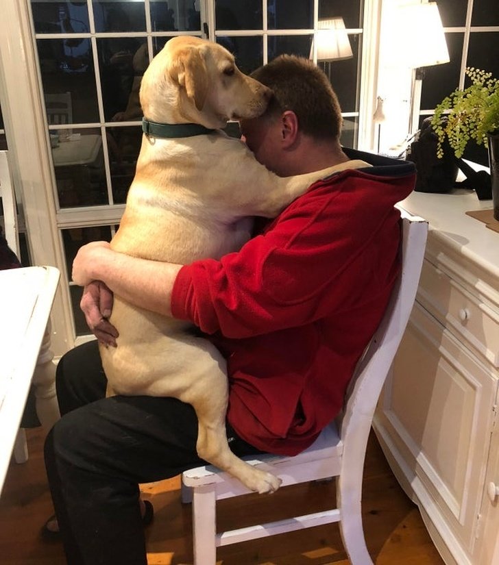 20+ Fotos que te provarão que é impossível imaginar a vida sem um bichinho de estimação