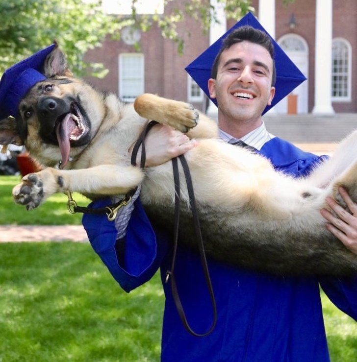 20+ Fotos que te provarão que é impossível imaginar a vida sem um bichinho de estimação