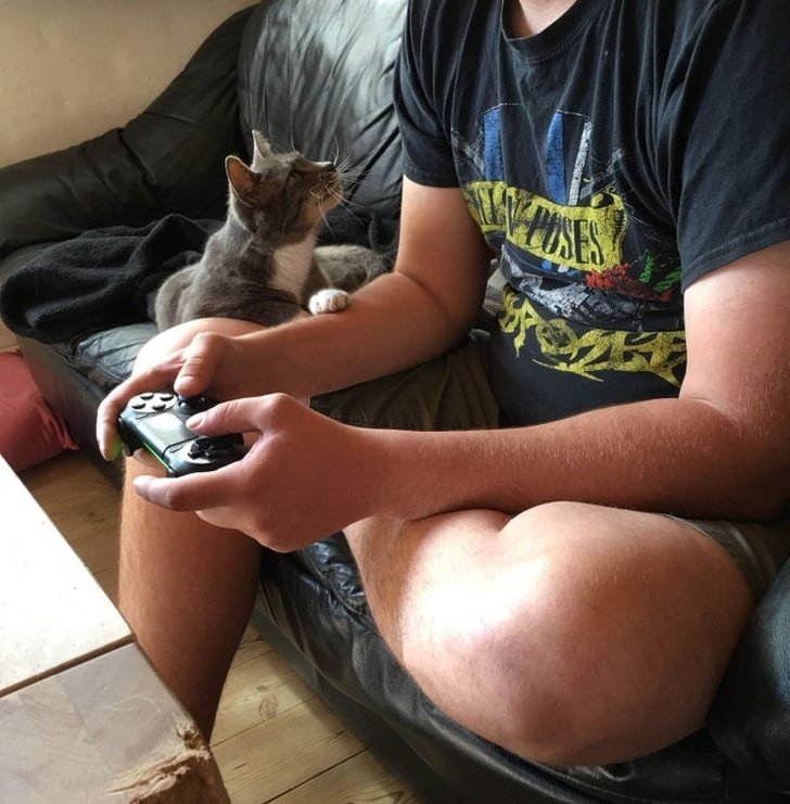 20+ Fotos que te provarão que é impossível imaginar a vida sem um bichinho de estimação