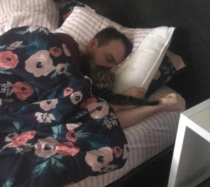 20+ Fotos que te provarão que é impossível imaginar a vida sem um bichinho de estimação