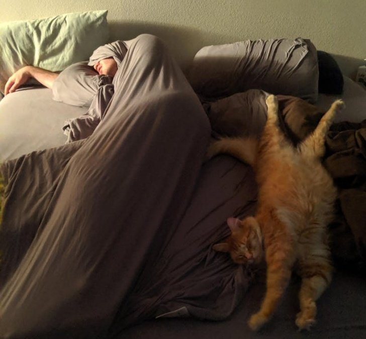 20+ Fotos que te provarão que é impossível imaginar a vida sem um bichinho de estimação