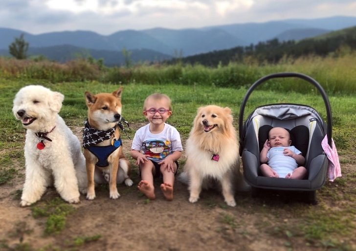 20+ Fotos que te provarão que é impossível imaginar a vida sem um bichinho de estimação