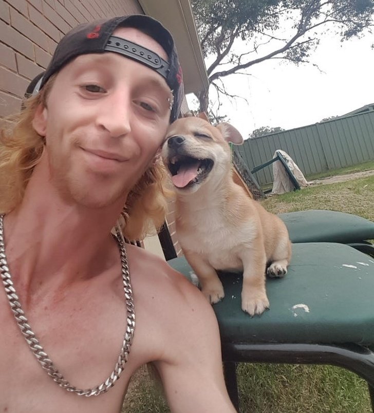 20+ Fotos que te provarão que é impossível imaginar a vida sem um bichinho de estimação