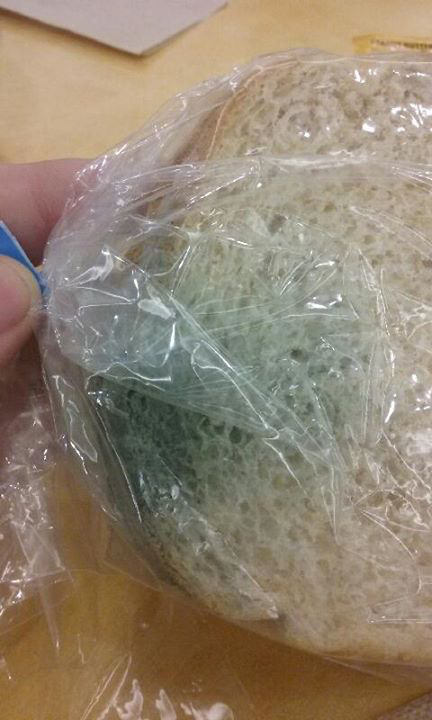moldy sandwich