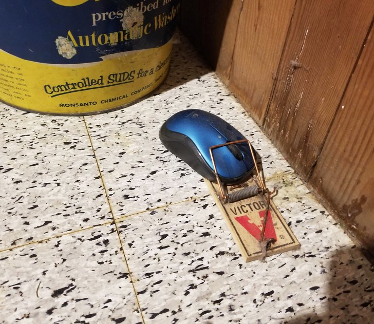 19 pessoas que adoram preparar pegadinhas para sua família