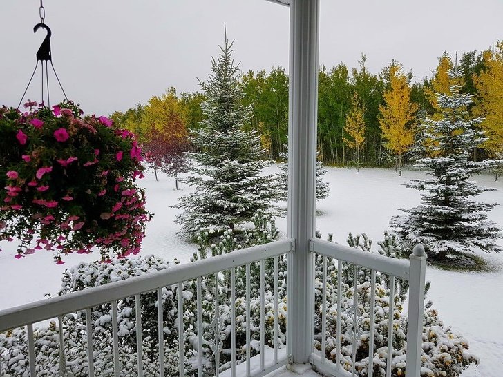 20+ Fotos que comprovam que não existe um lugar como o Canadá