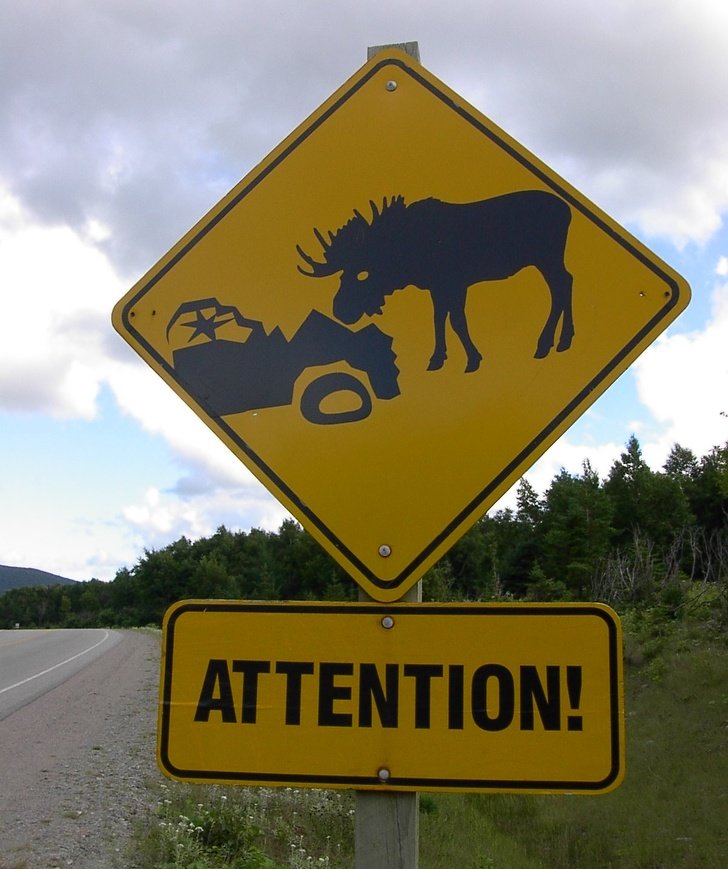 20+ Fotos que comprovam que não existe um lugar como o Canadá