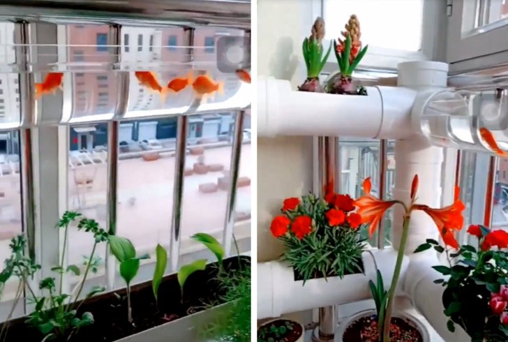 20 invenções que este mundo precisava fazia muito tempo