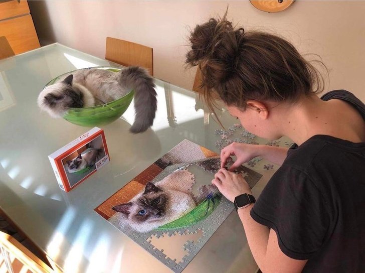 15 Produtos com designs geniais pelos quais pagaríamos qualquer valor