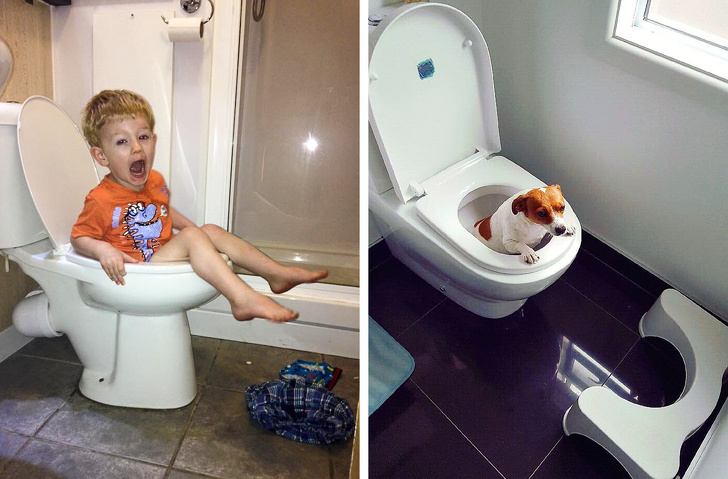 18 Exemplos que mostram que ter um cachorro e um bebê é quase igual