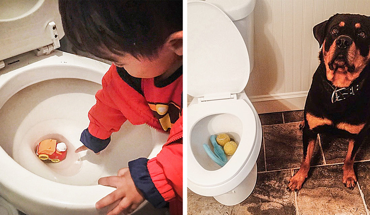 18 Exemplos que mostram que ter um cachorro e um bebê é quase igual