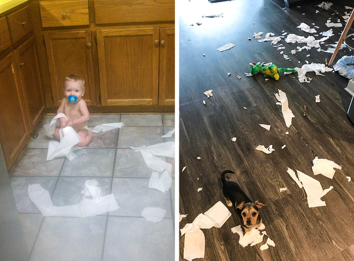 18 Exemplos que mostram que ter um cachorro e um bebê é quase igual