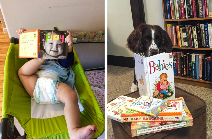 18 Exemplos que mostram que ter um cachorro e um bebê é quase igual