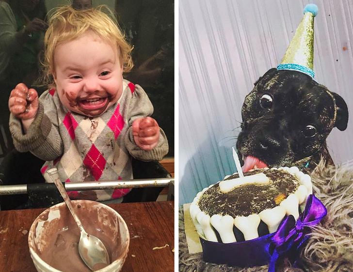 18 Exemplos que mostram que ter um cachorro e um bebê é quase igual