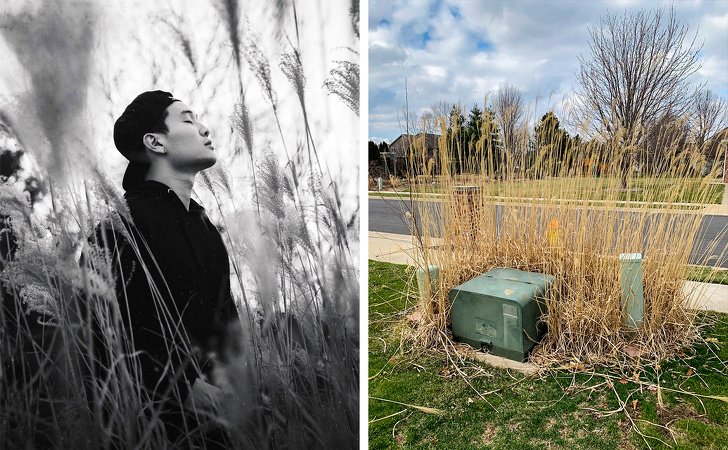 25+ Provas de que você pode tirar uma foto bacana em qualquer lugar (até mesmo em um aterro sanitário)