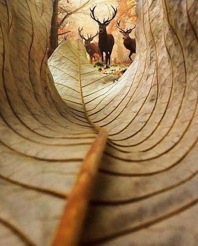 28 Pictures Where Reality Looks Way Cooler Than Any Sort of Photoshop