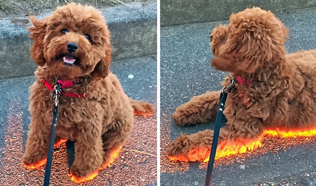 28 Pictures Where Reality Looks Way Cooler Than Any Sort of Photoshop