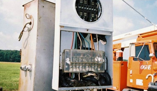 Internet Users Shared Photos of Found Items That Will Make Anyone Green With Envy