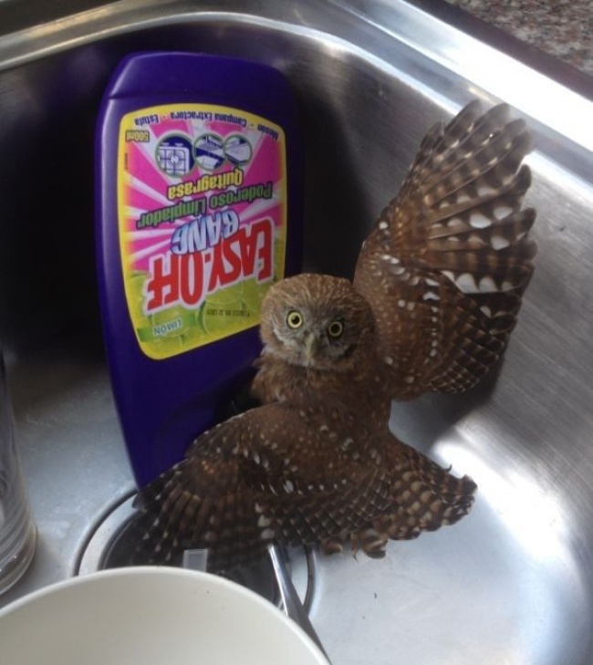 Internet Users Shared Photos of Found Items That Will Make Anyone Green With Envy