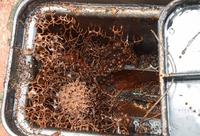 Internet Users Shared Photos of Found Items That Will Make Anyone Green With Envy