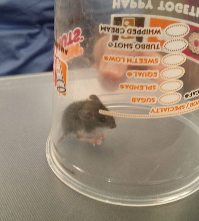 Internet Users Shared Photos of Found Items That Will Make Anyone Green With Envy