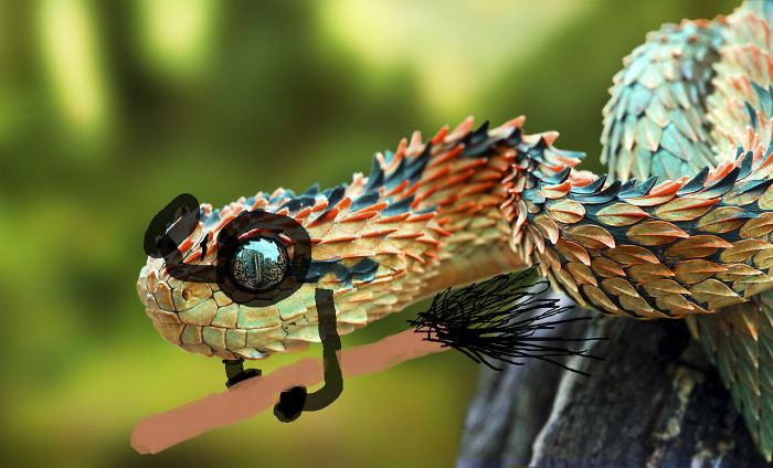 Harry Snekker Harry Snekker