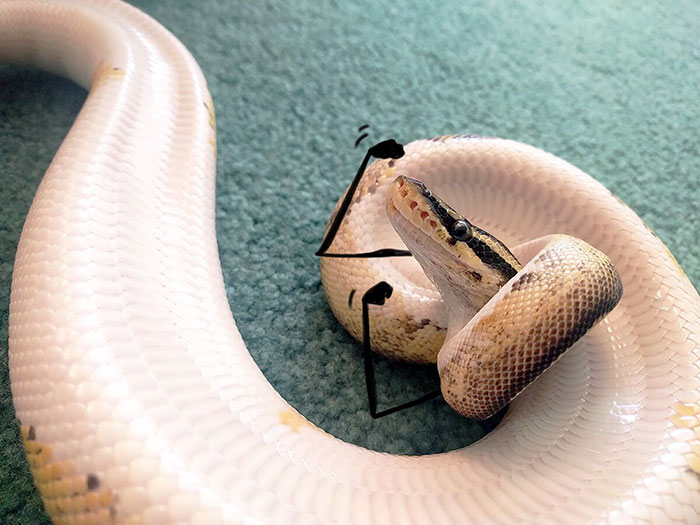 You Want To Fight? You Want To Fight?