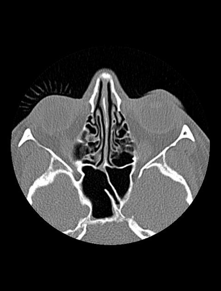 18 X-rays That Will Tell You More About Your Body Than Anatomy Textbooks