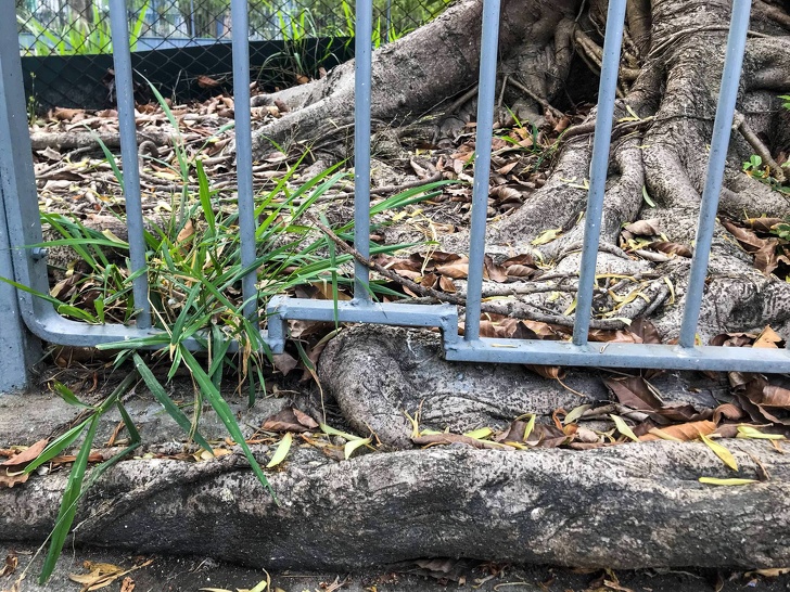 20+ Designers Who Showed Us What It’s Like to Respect Nature