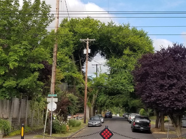 20+ Designers Who Showed Us What It’s Like to Respect Nature