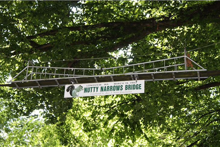 20+ Designers Who Showed Us What It’s Like to Respect Nature