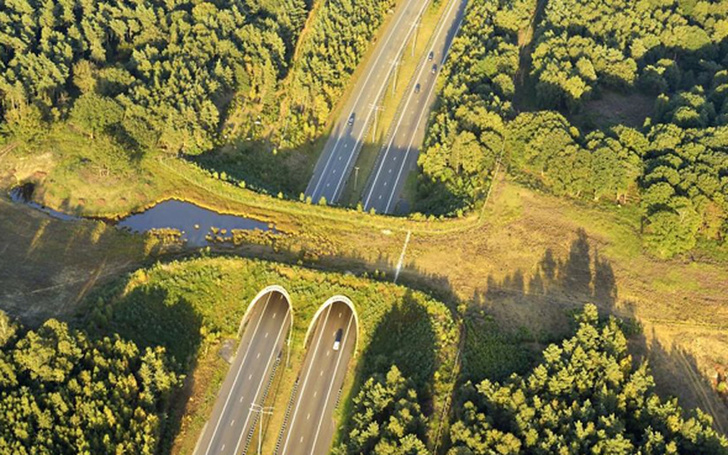 20+ Designers Who Showed Us What It’s Like to Respect Nature