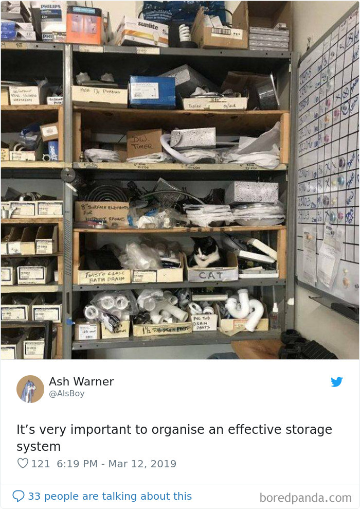 Cat-Tweets Cat-Tweets